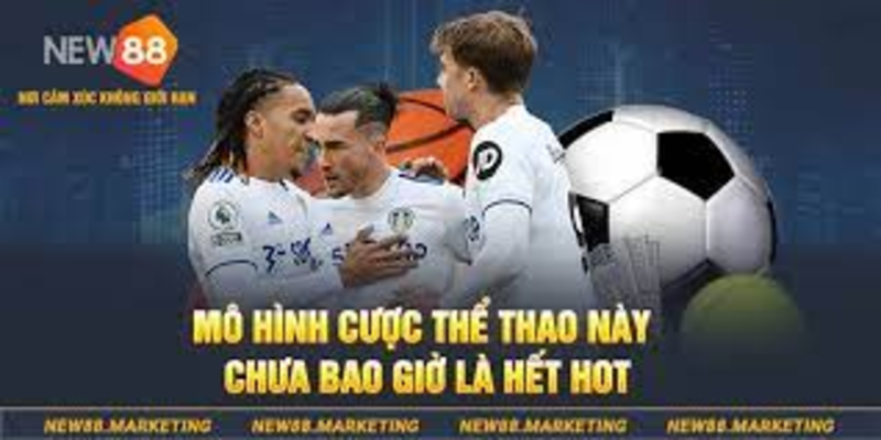 Các loại hình cá cược thể thao tại New88